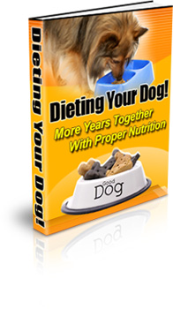 dietdog_cover_b